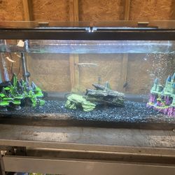 55 gallon fish tank