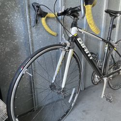 Giant Bike