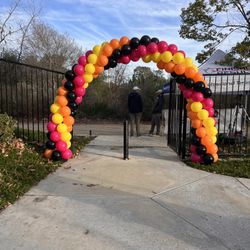 Balloon Arch Entry 