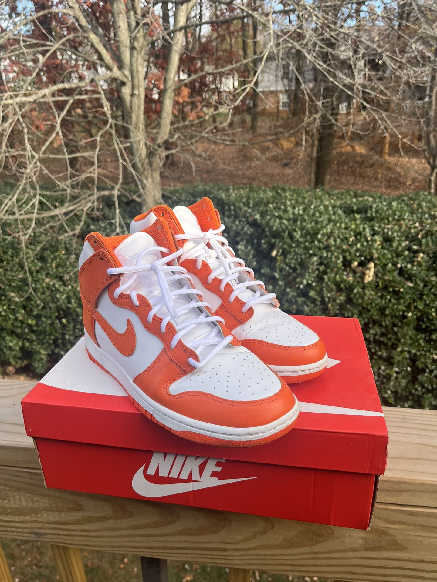 Nike Dunk Syracuse