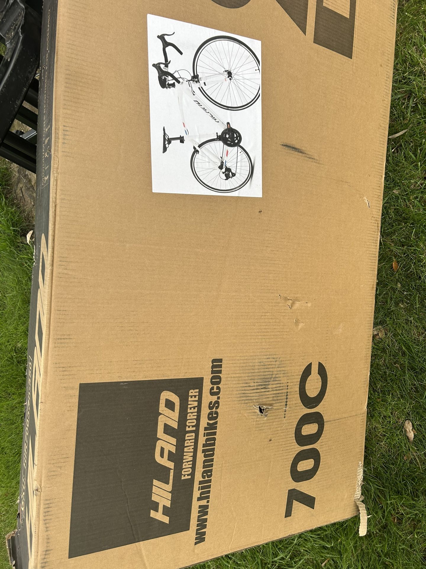 Brand New Bicycle