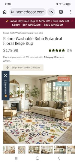 8 x 10 Area rug