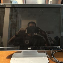 HP Computer Monitor 