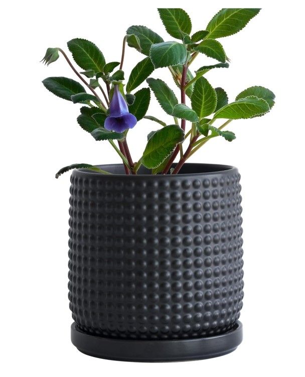 D'vine Dev 6 Inch Ceramic Beaded Stoneware Planter Pot 