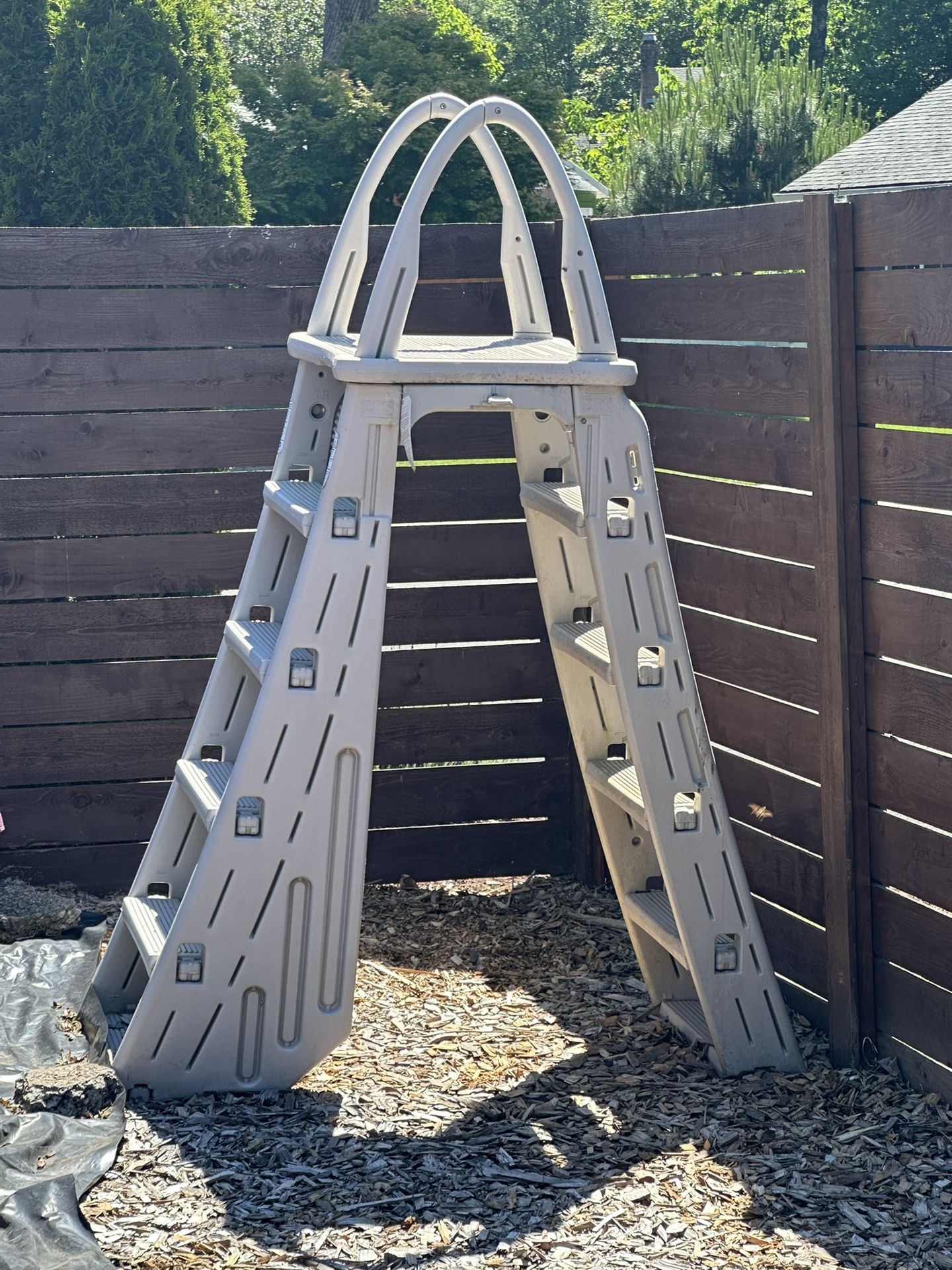 Pool ladder