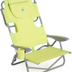 Ostrich On Your Back Chair, Green