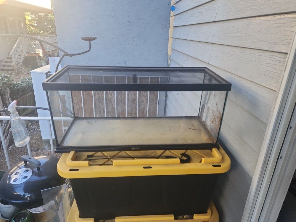 20 Gallon Long Reptile Tank With Screen Top!