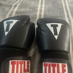 title boxing gloves LARGE