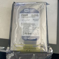 250 GB Hard Drive Western Digital IDE