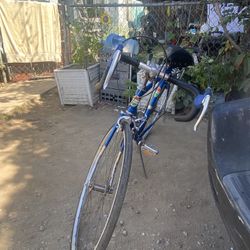 Campania Original Classic Bike 