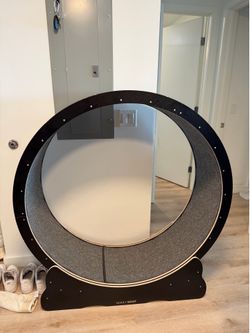 Dog Treadmill