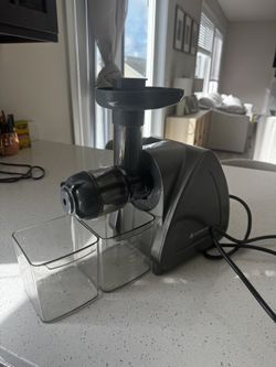Masticating Juicer