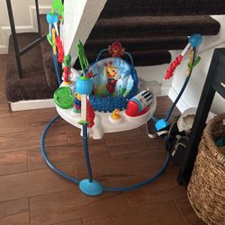 Baby Bouncer