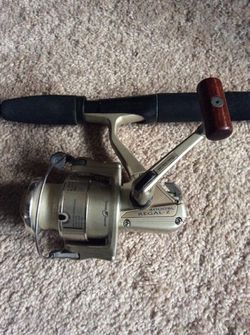 Fresh Water Fishing Rod and Reel