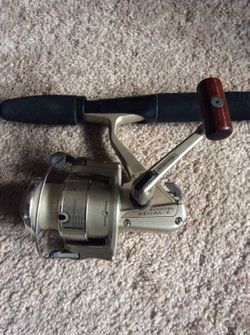 Fresh Water Fishing Rod and Reel