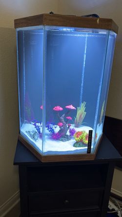 Hexagonal Fish Tank Aquarium with Wood Trim