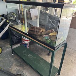 Reptile Aquarium With Stand And Supplies