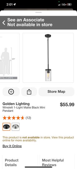 Golden Lighting WINSLETT 1 Light Matte Black Mini Pendant (2 Available)