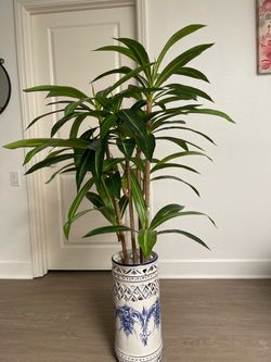 Beautiful Artificial Plant with Decorative Pot – 4.5 Ft Tall