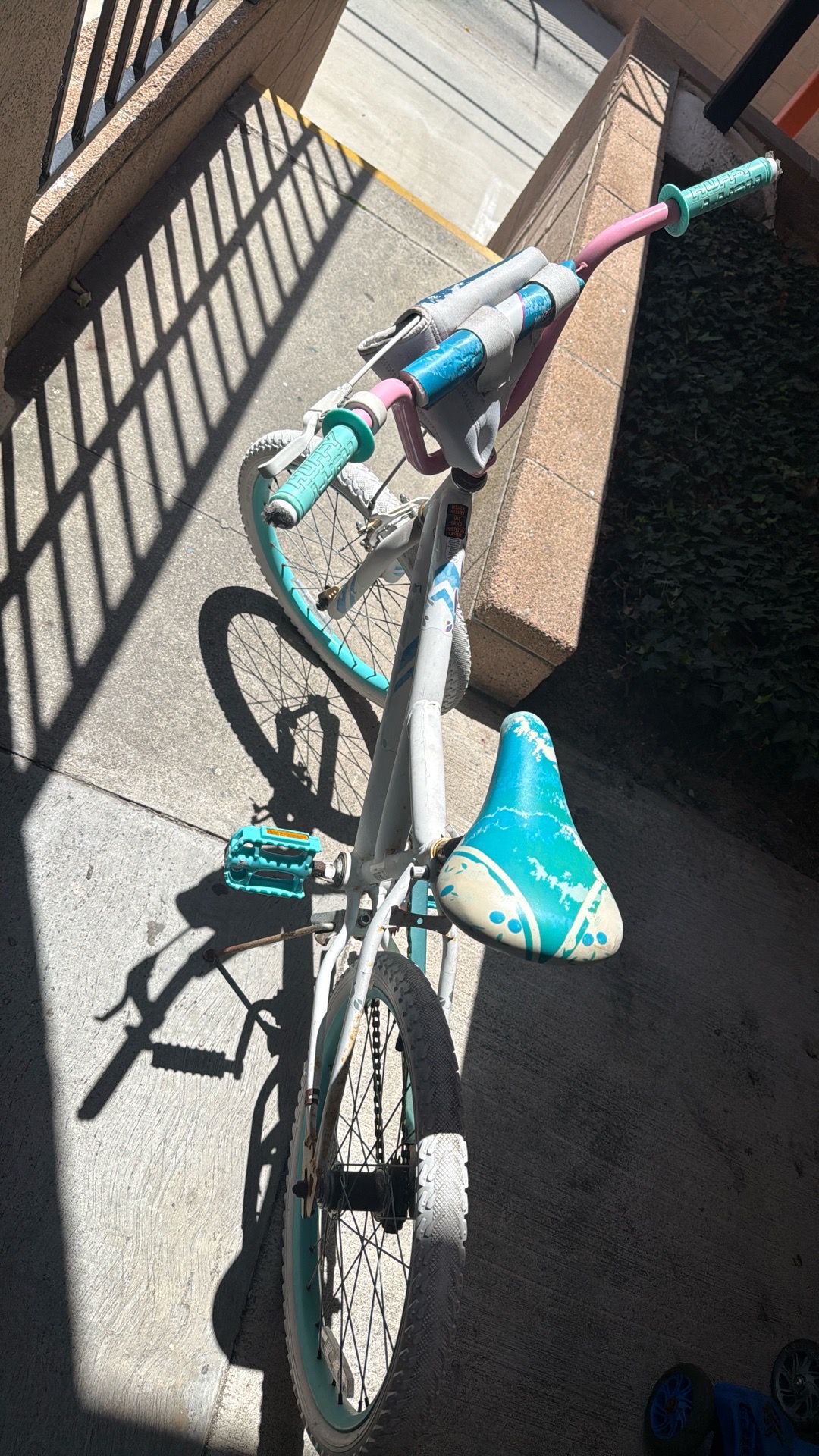 20" inch girls bike