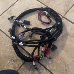 Holley Terminator X Harness