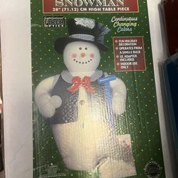 Sight Sational Fiber Optics Snow Man