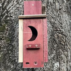 Porta-John birdhouse