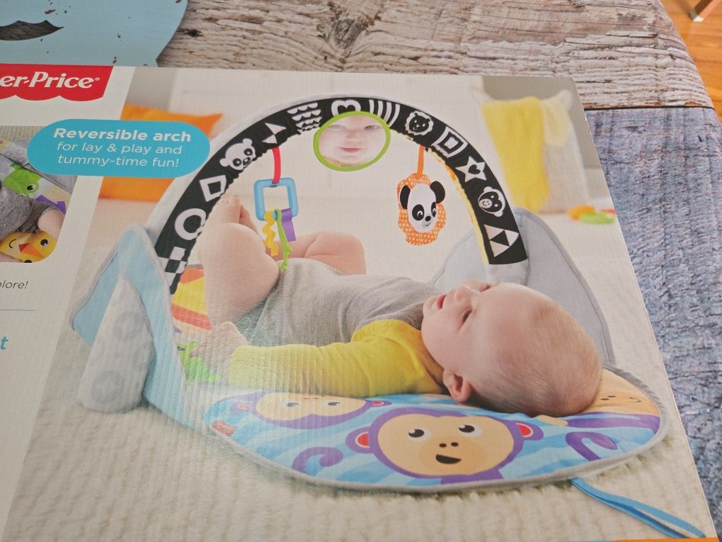 Fisher Price Activity GYM