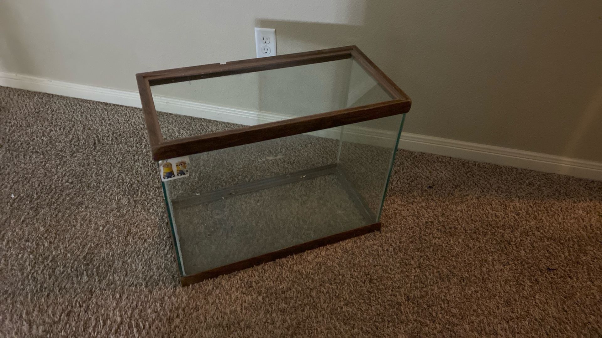 29 Gallon Fish Tank