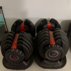 Bowflex Selectec 552 Dumbbells