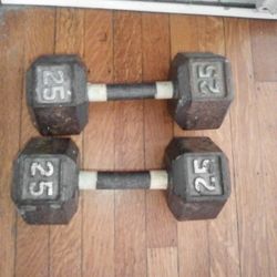 Dumbbell Weights 25lbs Each