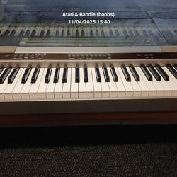 Casio Keyboard Needs Power Cord But Does Work. 