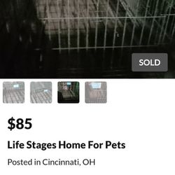 Life Stages Home For Pets