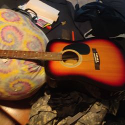 Johnson Acoustic 