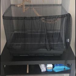 Parrot Cage 