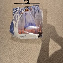 Disney Holloween Costume