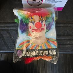 Jumbo Clown Wig