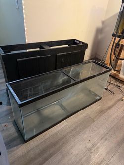 Fish Tank 50/60 gallon with stand