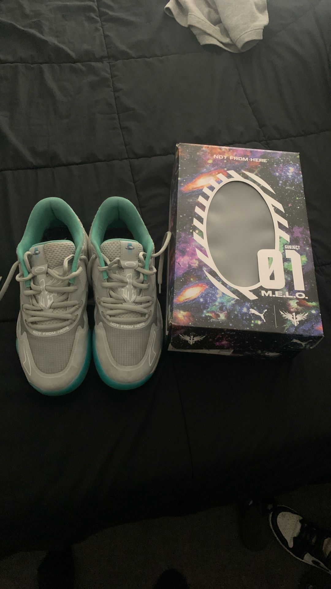 LaMelo Ball Basketball Shows Asking $35