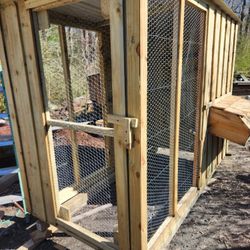 Chicken Coop 