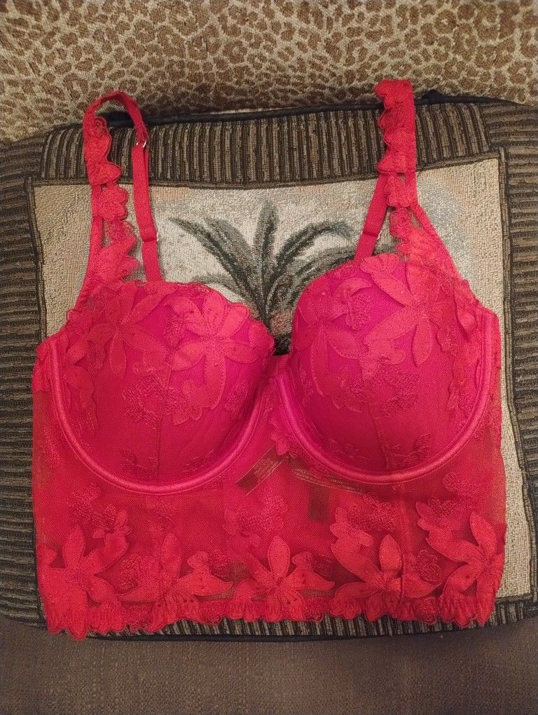 34DD Bright Red Embroidered Bustier