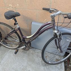 Schwinn Bike