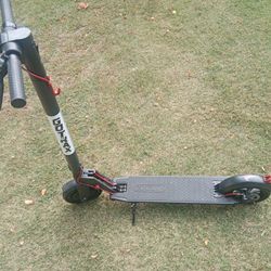 GOTRAX ADULT ELECTRIC SCOOTER (Cruise Control)