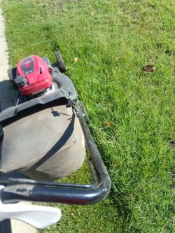 Grass mowed mower