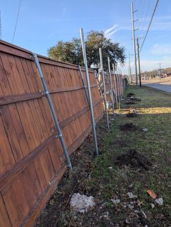 Fences /Cercas