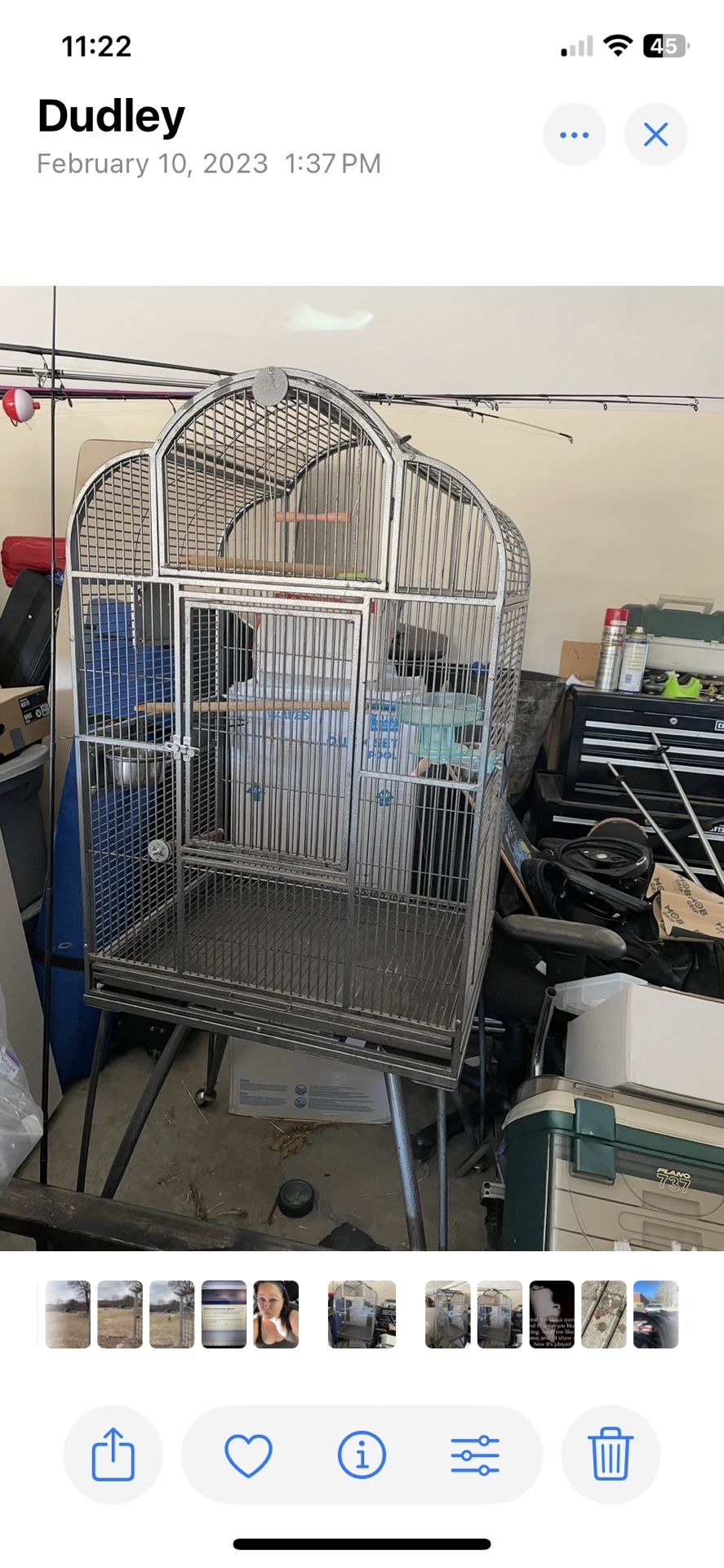 Bird Cage