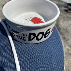 Snoopy. Peanuts ceramic dog bowl 
