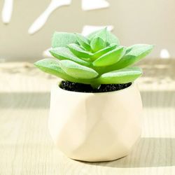 Mini Faux Succulents