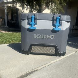 IGLOO 25 QT COOLER