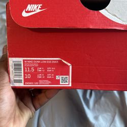 Satin Michigan Dunks (used)